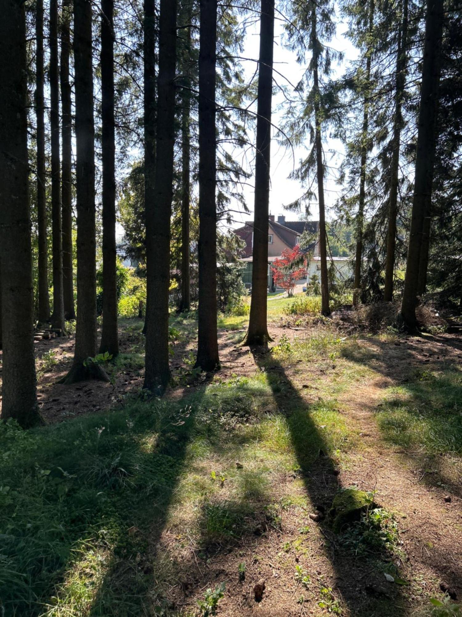 Bergwiesenblick38678 クラウスタール・ツェラーフェルト エクステリア 写真