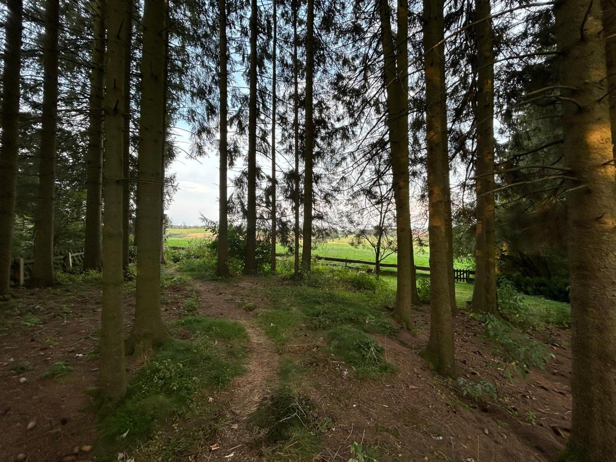 Bergwiesenblick38678 クラウスタール・ツェラーフェルト エクステリア 写真
